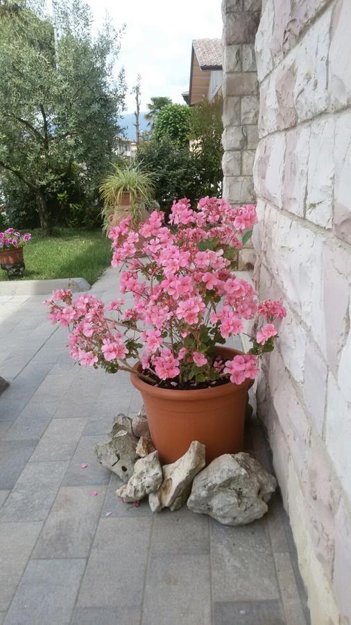 דירות Cannara La Residenza Di Bacco מראה חיצוני תמונה
